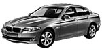 BMW F10 P25B3 Fault Code